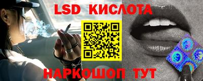 мдпв Донской